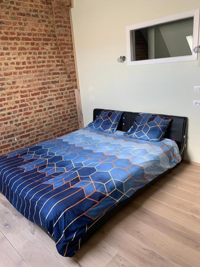 Huis Buizemont ヘラールツベルヘン エクステリア 写真